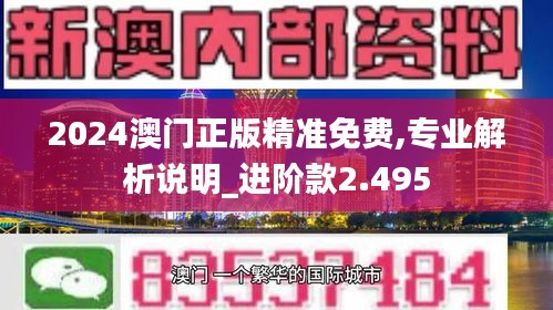 2024澳门正版精准免费,专业解析说明_进阶款2.495