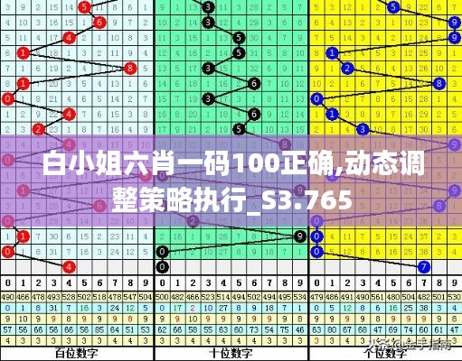 白小姐六肖一码100正确,动态调整策略执行_S3.765