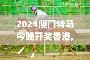 2024澳门特马今晚开奖香港,正确解答落实_豪华款3.915