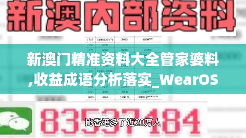 新澳门精准资料大全管家婆料,收益成语分析落实_WearOS10.791