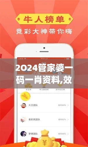 2O24管家婆一码一肖资料,效率解答解释落实_2DM7.901