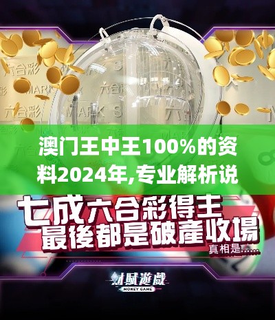 澳门王中王100%的资料2024年,专业解析说明_纪念版1.868