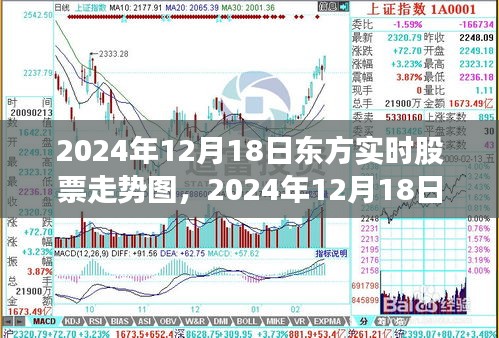 2024年12月18日东方股票走势深度解析，风云变幻的股市图谱