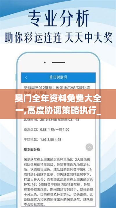 奥门全年资料免费大全一,高度协调策略执行_限定版7.159