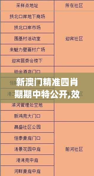 新澳门精准四肖期期中特公开,效率资料解释落实_CT3.300