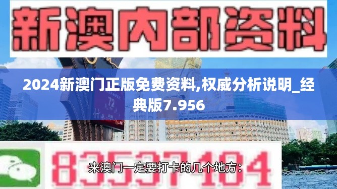 2024新澳门正版免费资料,权威分析说明_经典版7.956