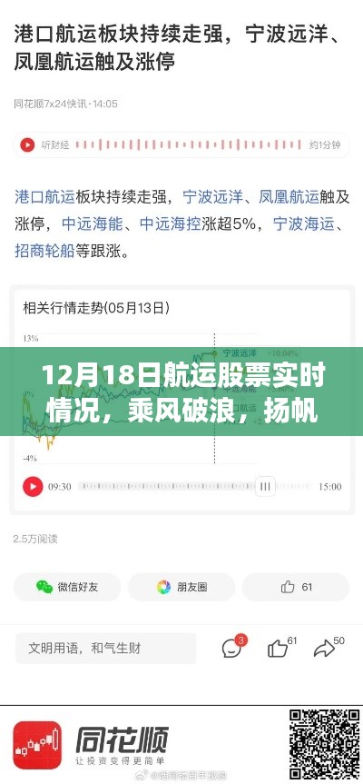 12月18日航运股票实时动态，乘风破浪的心灵港湾