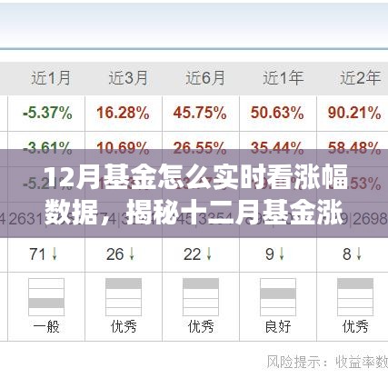 揭秘十二月基金涨幅实时观察与深度解读，实时数据观察与特定时代地位分析