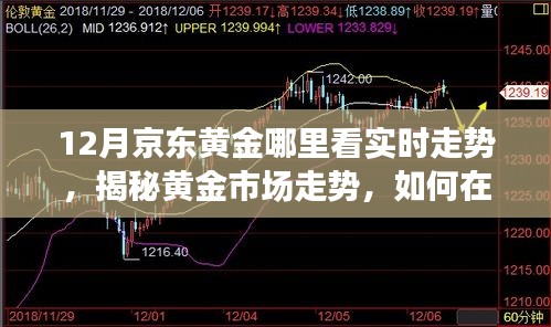 揭秘黄金市场走势，京东黄金实时行情分析与洞悉策略