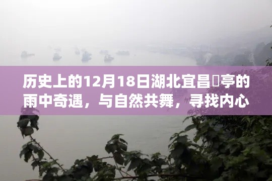 湖北宜昌猇亭雨中奇遇，与自然共舞，探寻内心宁静的历程