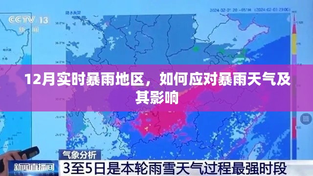 应对暴雨天气及其影响的策略，实时应对指南