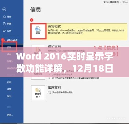 Word 2016实时显示字数功能详解及设置指南与全面评测（12月18日版）