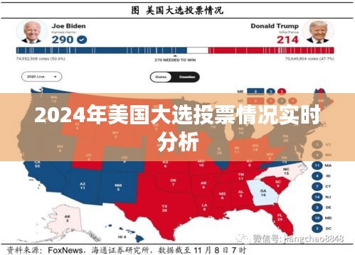 2024年美国大选投票情况实时解析与预测