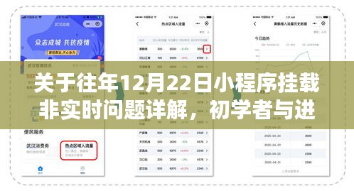 往年12月22日小程序挂载非实时问题解析，从初学者到进阶用户的指南