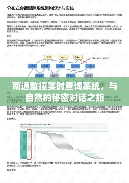 南通监控实时查询系统，开启与自然的秘密对话之旅