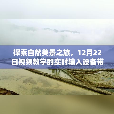 探索自然美景之旅，实时输入设备带你走进宁静之地