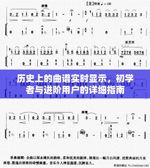 曲谱实时显示，初学者与进阶用户的指南手册