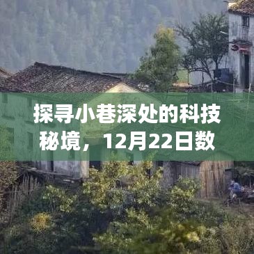 科技秘境探寻之旅，数据读取与实时显示的奇妙小巷之旅（12月22日）