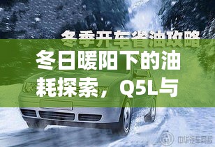 冬日暖阳下的油耗探索，Q5L日常趣事分享