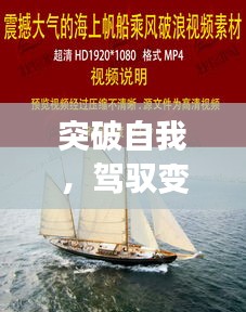 乘风破浪的库存软件之旅，突破自我与驾驭变化