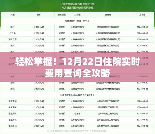 12月22日住院实时费用查询攻略，轻松掌握费用信息