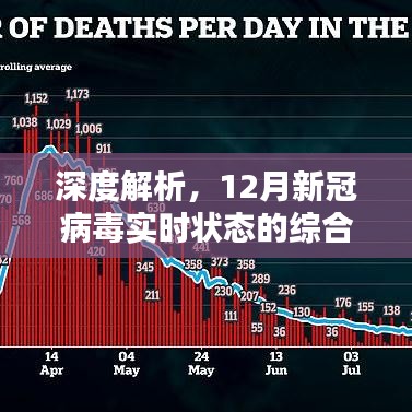 深度解析，12月新冠病毒实时状态综合评测与最新动态