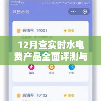 实时水电费产品全面评测与介绍，深度解读十二月数据