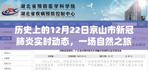 京山市新冠肺炎实时动态与心灵觉醒的自然之旅，历史视角下的十二月二十二日回顾