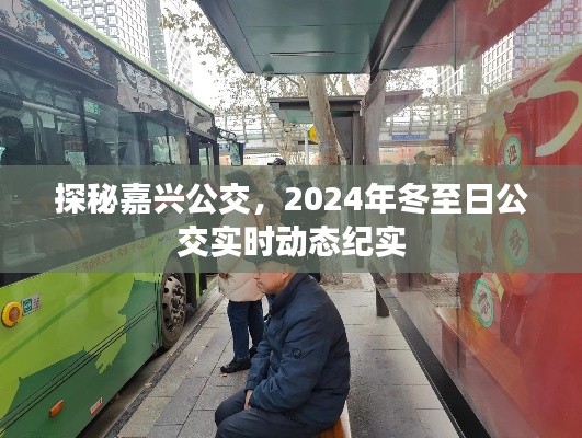 探秘嘉兴公交，冬至日公交实时动态纪实之旅