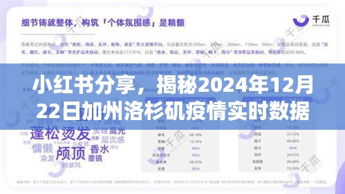 小红书分享，揭秘加州洛杉矶疫情实时数据——2024年12月22日更新