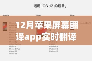 苹果屏幕翻译app实时翻译故障解析