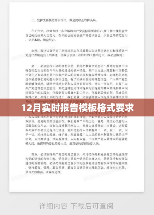 12月实时报告模板格式详解