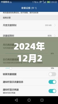 网银实时到账功能能否持续至2024年？