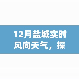 盐城最新风向天气预报，解读十二月实时天气动态