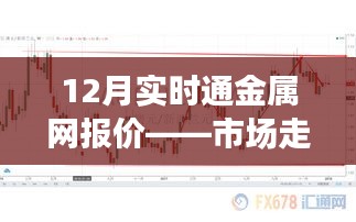 12月金属网实时报价与市场深度解析