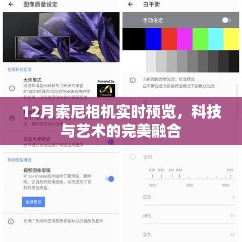 科技与艺术融合，索尼相机实时预览展现魅力