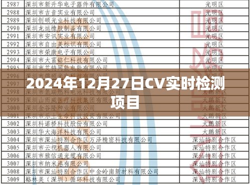 2024年CV实时检测项目启动与进展