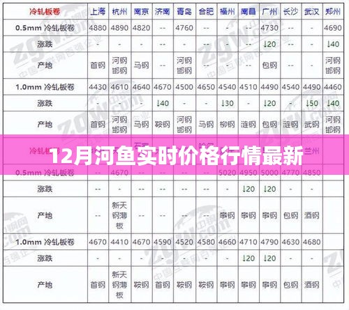 12月河鱼最新实时价格行情概览