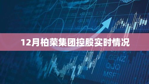 柏荣集团控股最新实时动态解析