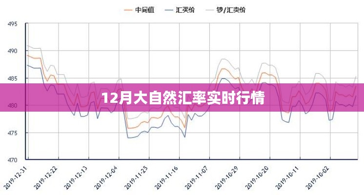 12月大自然汇率最新实时行情