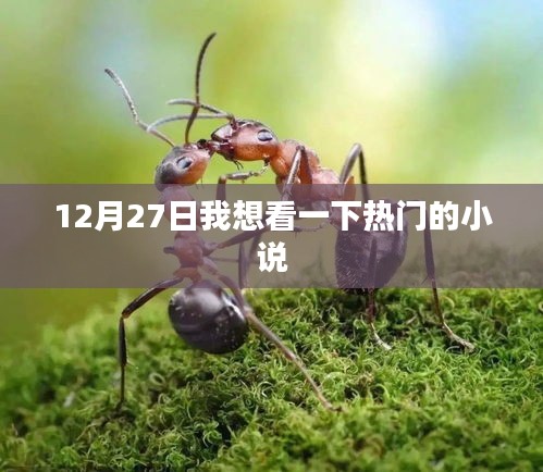 12月27日热门小说推荐，不容错过！