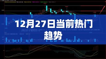 12月27日最新热门趋势解析