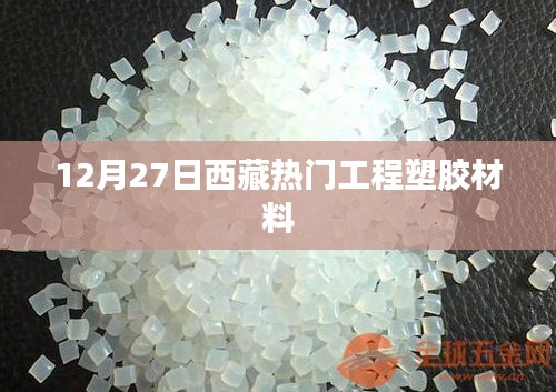 西藏热门工程塑胶材料，行业动态及市场趋势分析（12月27日）