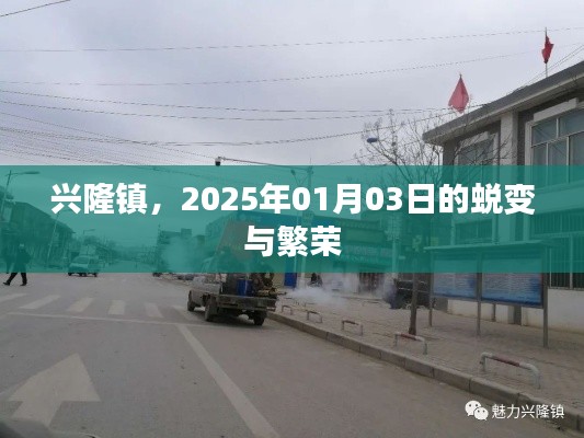 兴隆镇蜕变启航，2025年繁荣新篇章