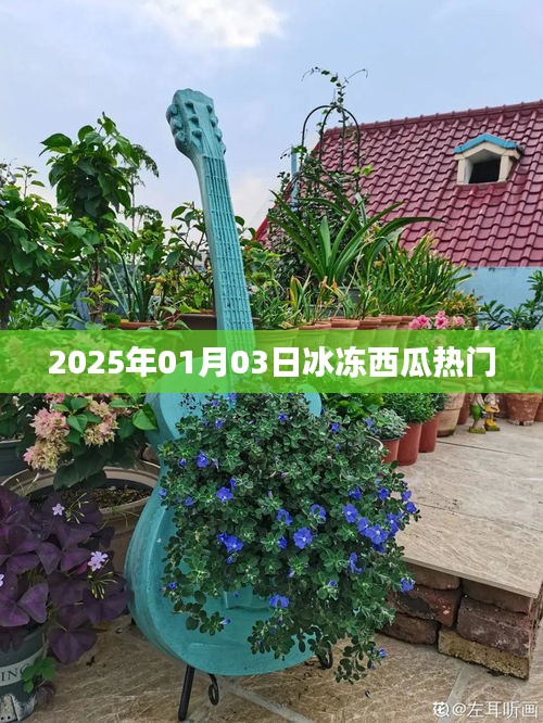 冰冻西瓜热潮来袭，揭秘2025年热门美食背后的故事