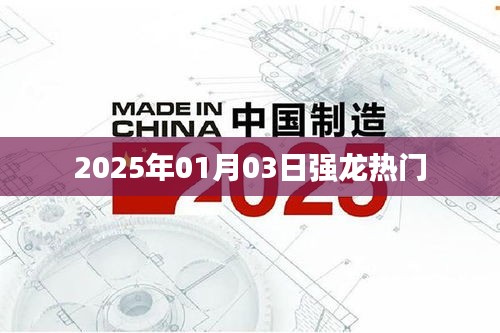 强龙热门，揭秘2025年1月3日的独特魅力