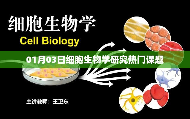 细胞生物学热门研究课题解析