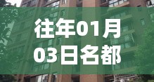 名都公寓元旦自由行指南，精选攻略助你畅游无阻