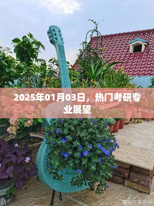 考研热门专业展望，未来趋势分析（2025年）