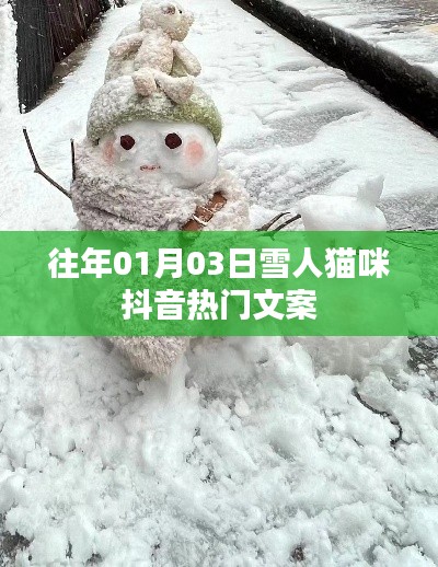 抖音热门雪人猫咪文案精选